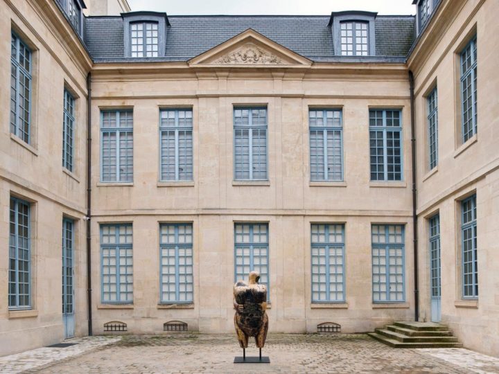 Le musée de la Chasse et de la Nature rouvre ses portes : photo 1