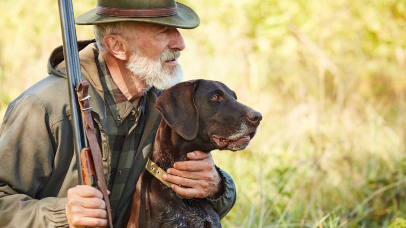 26 août, journée mondiale du chien : photo 1