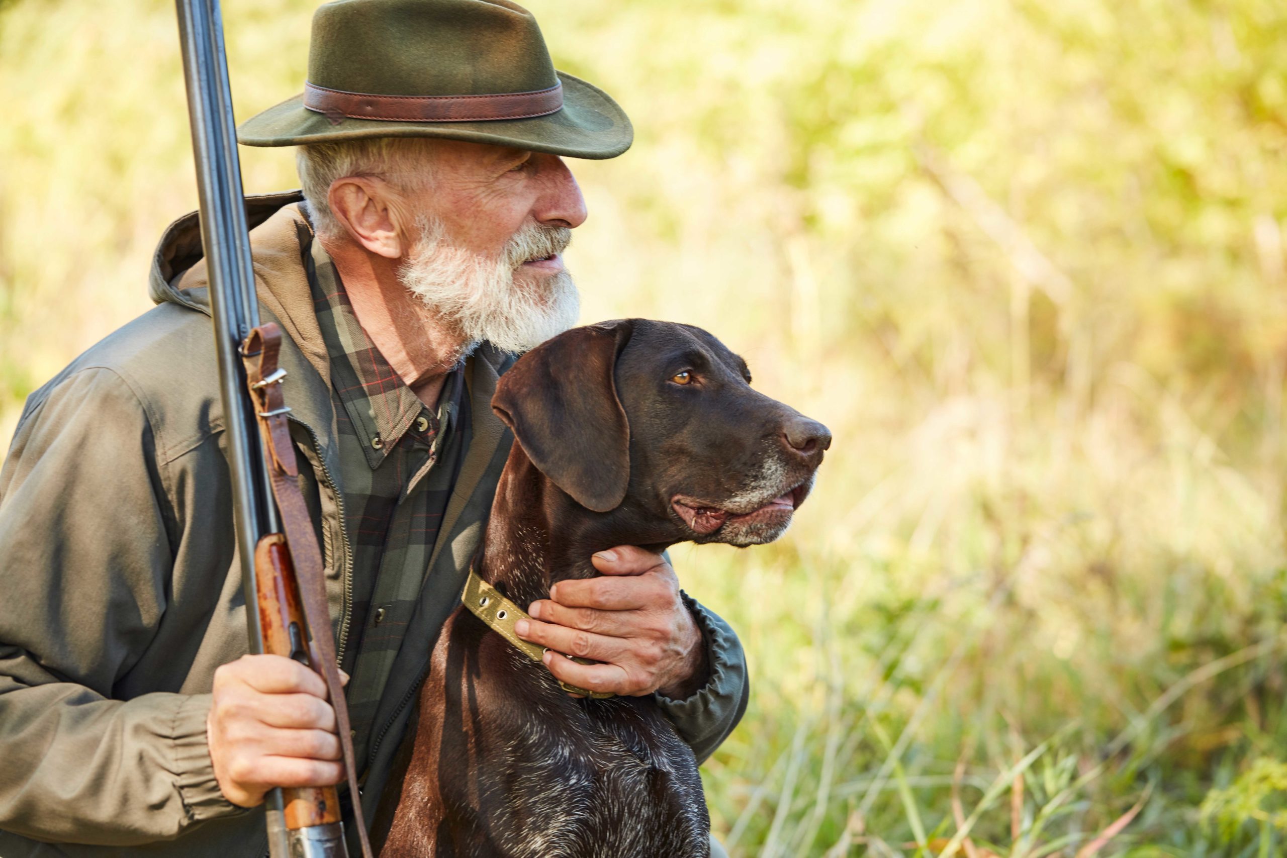 26 août : journée mondiale du chien