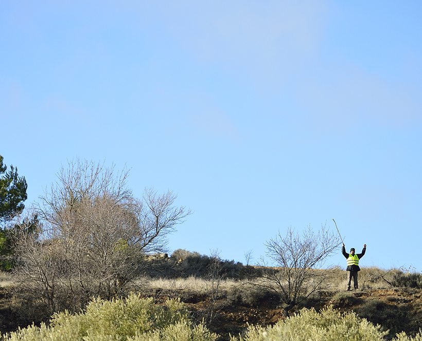 À tire-d’aile au pied des moulins de Don Quichotte : photo 6