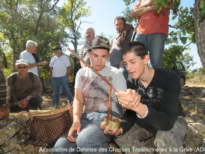 Chasse aux gluaux : photo 1