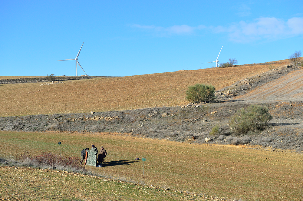 À tire-d’aile au pied des moulins de Don Quichotte : photo 2