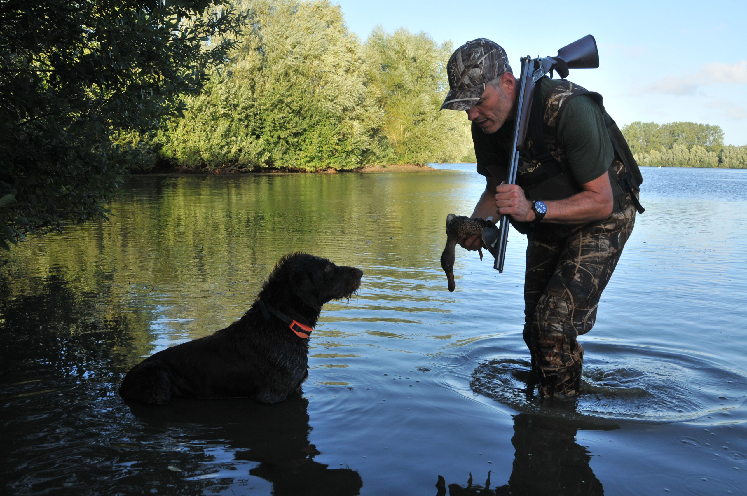 26 août, journée mondiale du chien : photo 2