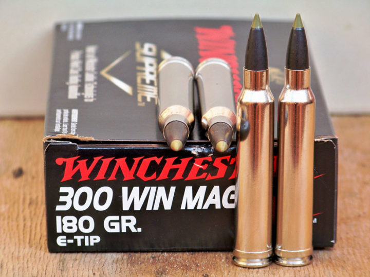 Le 300 Winchester Magnum, puissance et polyvalence : photo 1