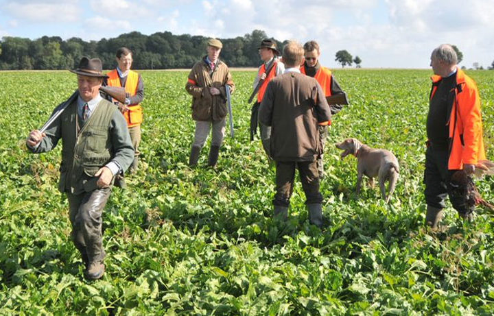 Ouverture générale de la chasse : photo 1