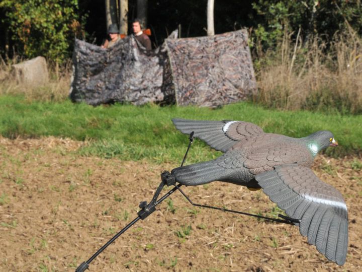 Top 3 nouveautés pour le chasseur de pigeons au poste : photo 1