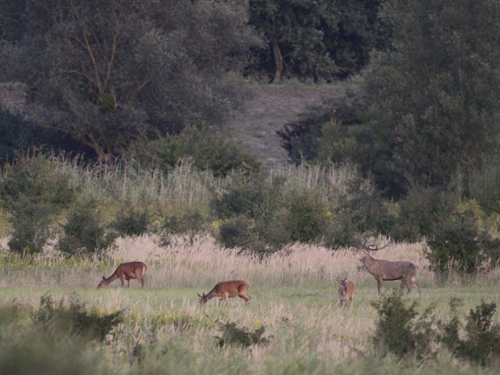 Love story en Croatie : photo 1