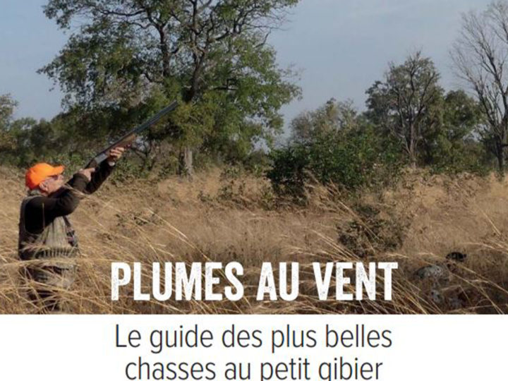 Plumes au vent : photo 1