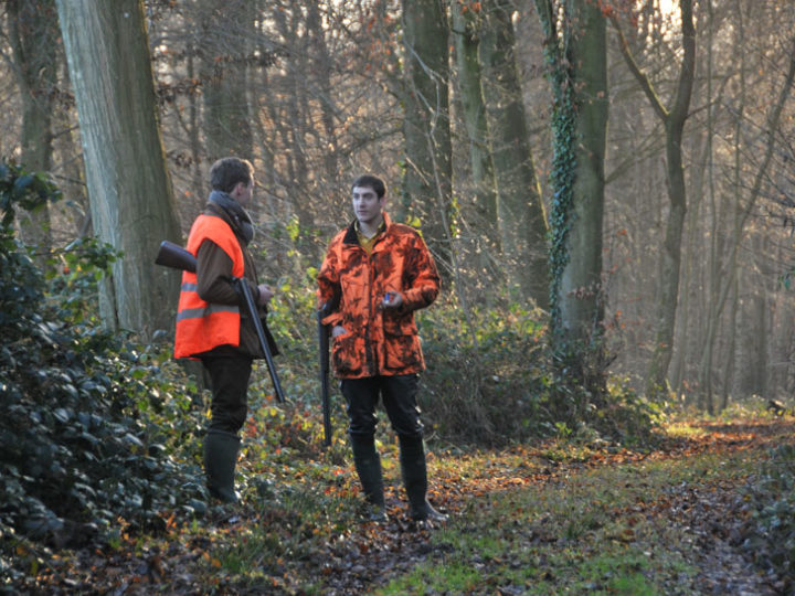 Regain d’intérêt pour la chasse, info ou intox : photo 1