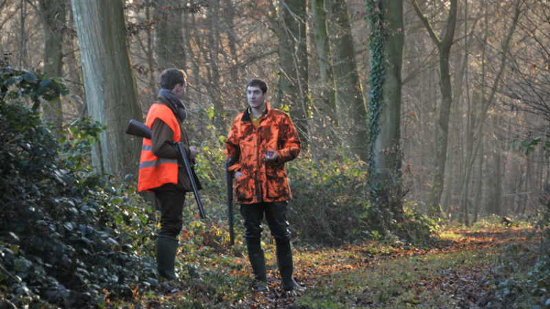 Regain d’intérêt pour la chasse, info ou intox : photo 1