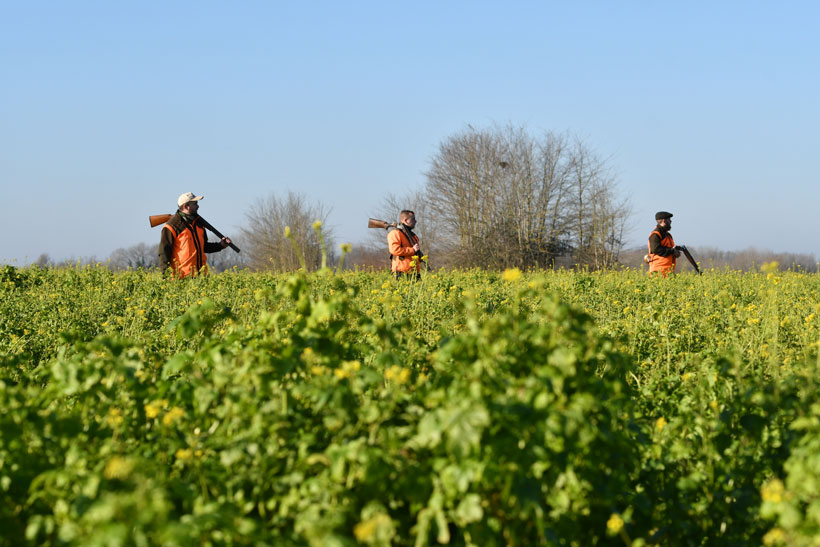 Garder la ligne : photo 4