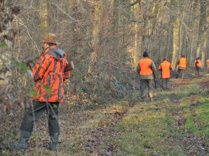 Garder la ligne : photo 1