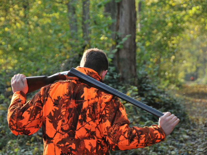 Balles pour fusil, le champ des possibles : photo 1