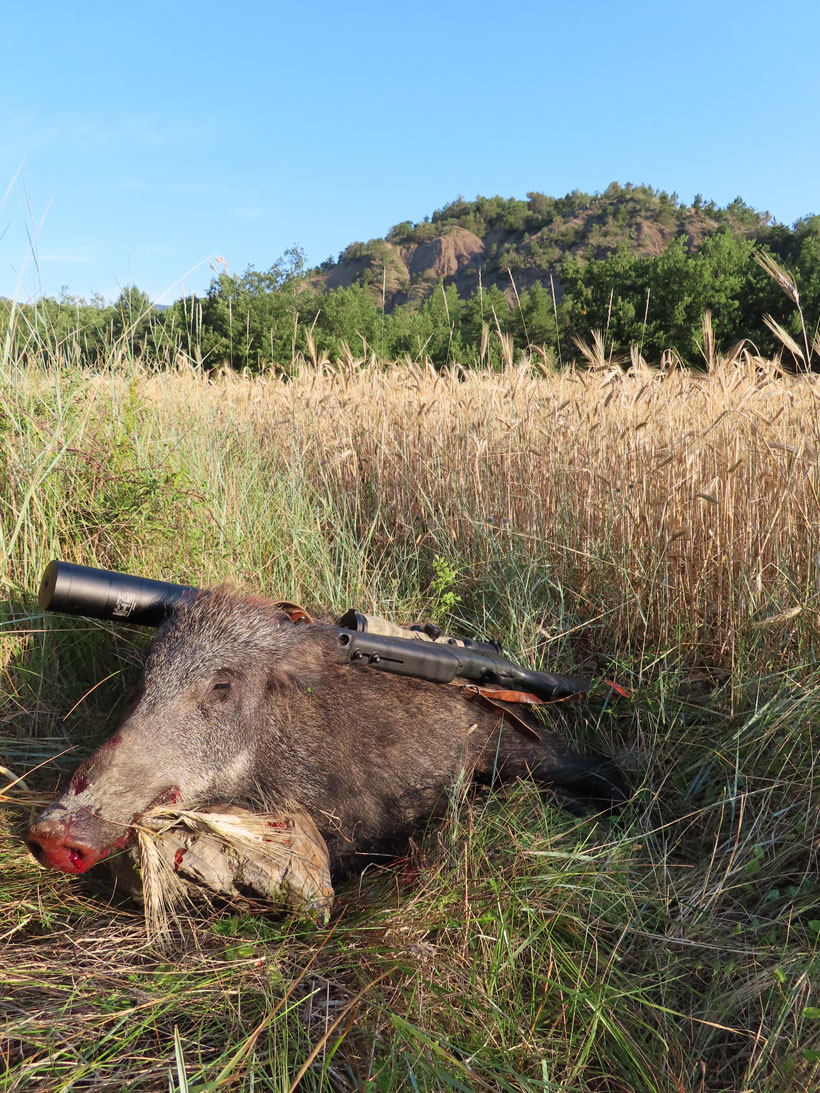 Le tir à longue distance à la chasse, pourquoi : photo 10