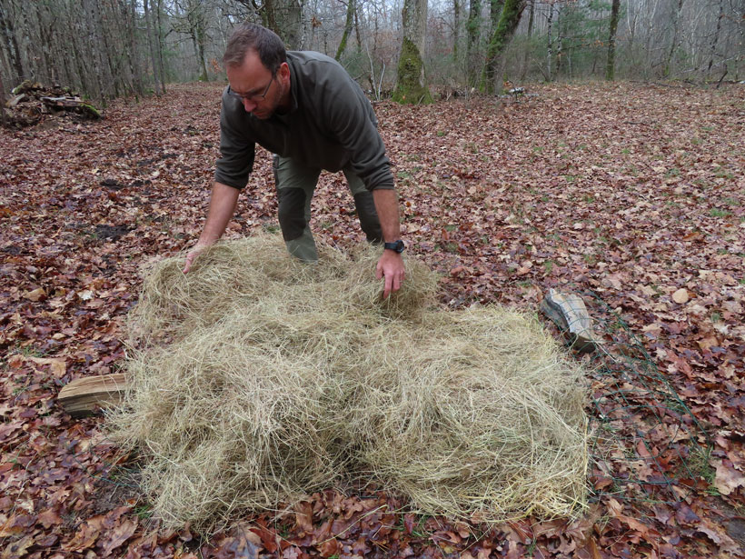 Le nichoir-tube, précieux pour vos étangs et marais : photo 5