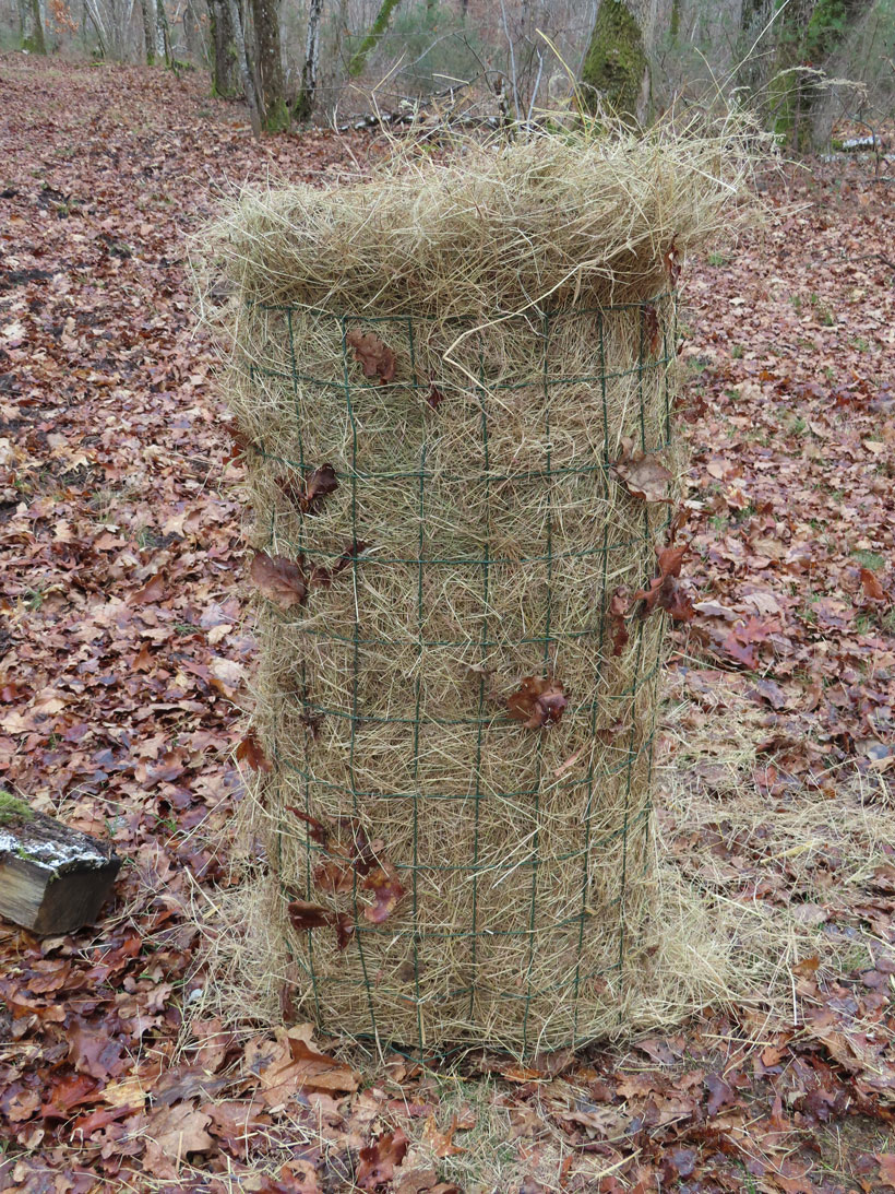 Le nichoir-tube, précieux pour vos étangs et marais : photo 8
