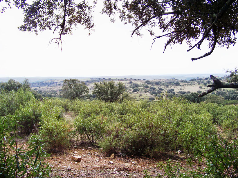 Portugal, premiers cerfs pour Philippe : photo 5