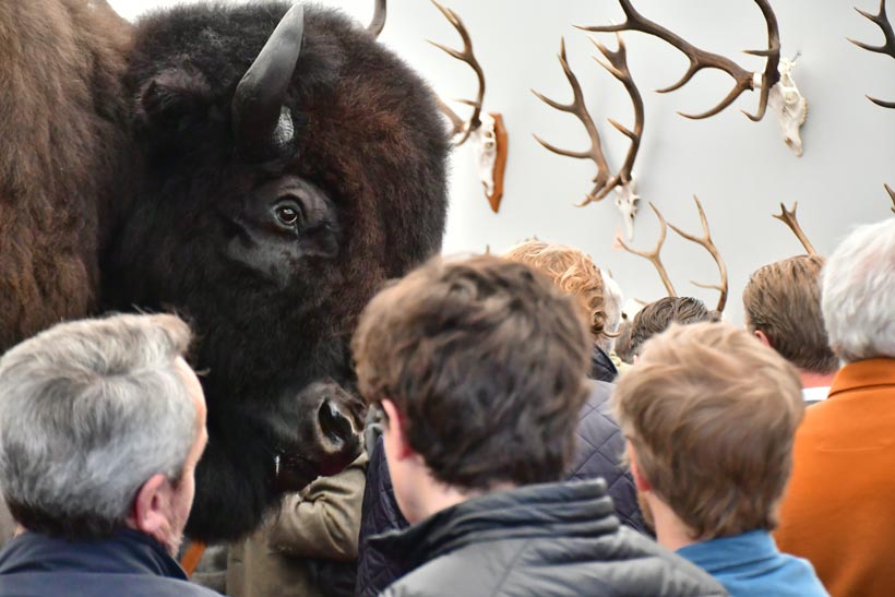 Salon de la Chasse et de la Faune Sauvage : photo 2