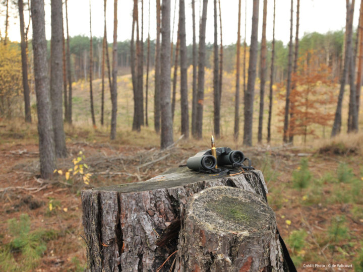 10 jumelles de poche pour la chasse et l’observation : photo 1