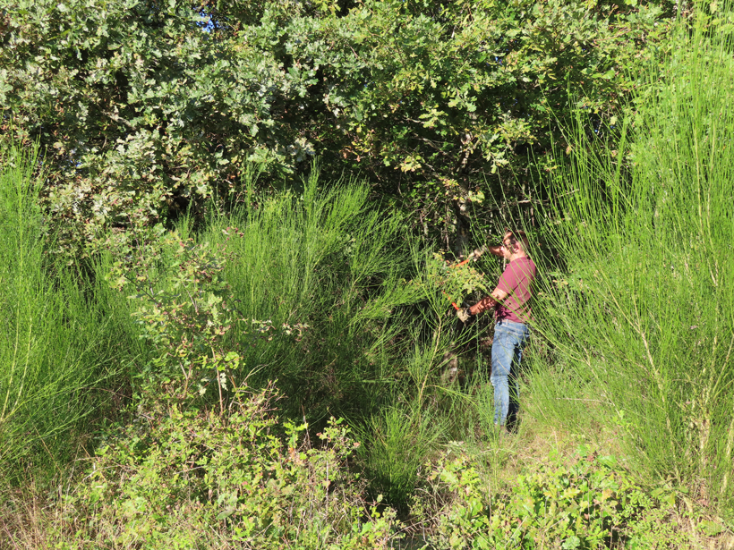 Le sentier de pirsch, anticipation impérative : photo 7