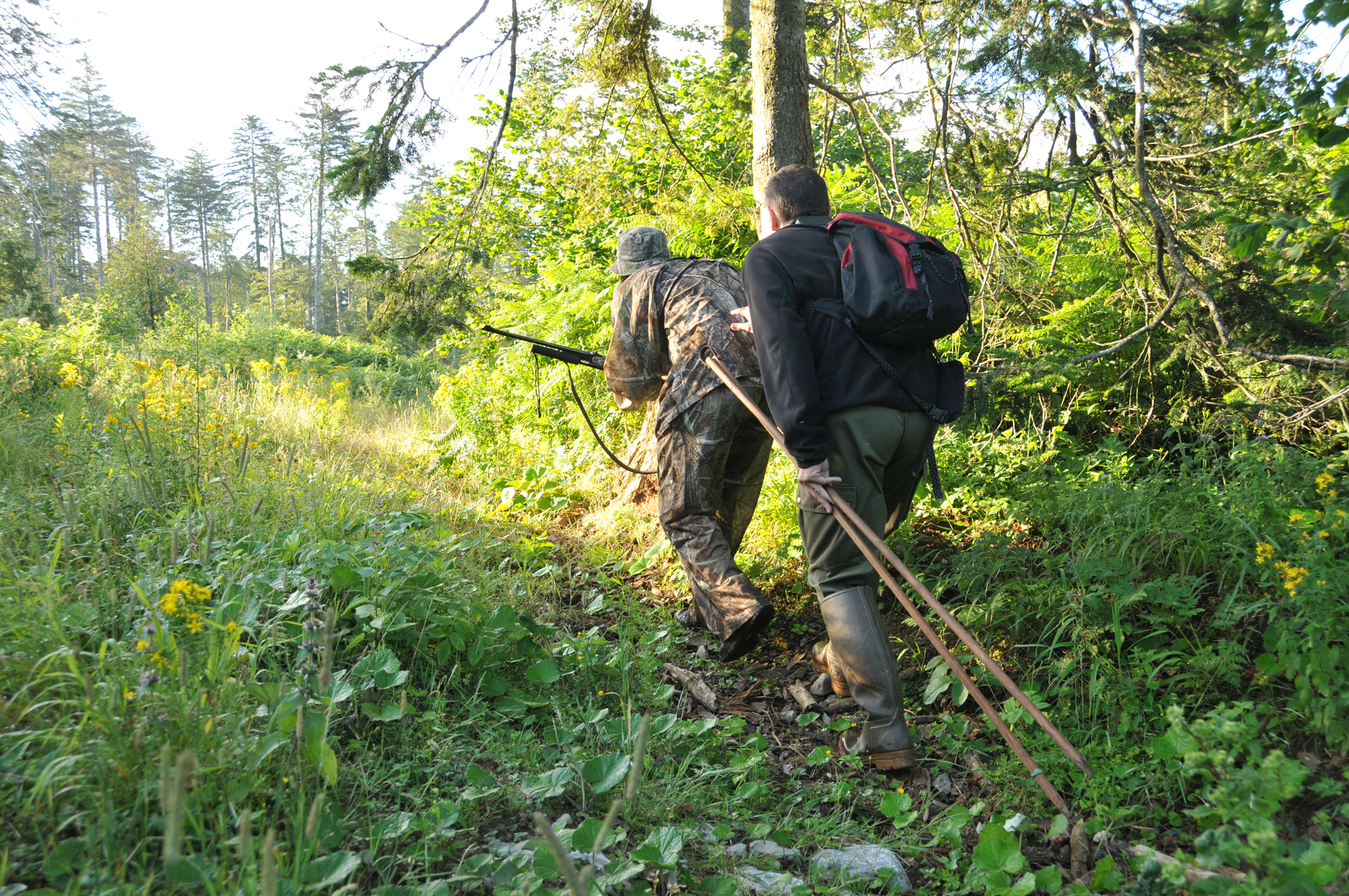 Le sentier de pirsch, anticipation impérative