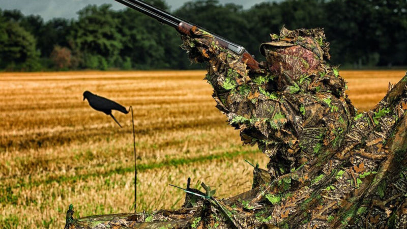 3 nouveautés pour la chasse des corvidés : photo 1