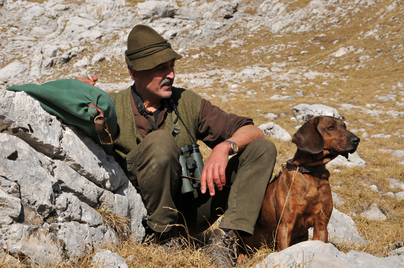 Les chiens de rouge : photo 4