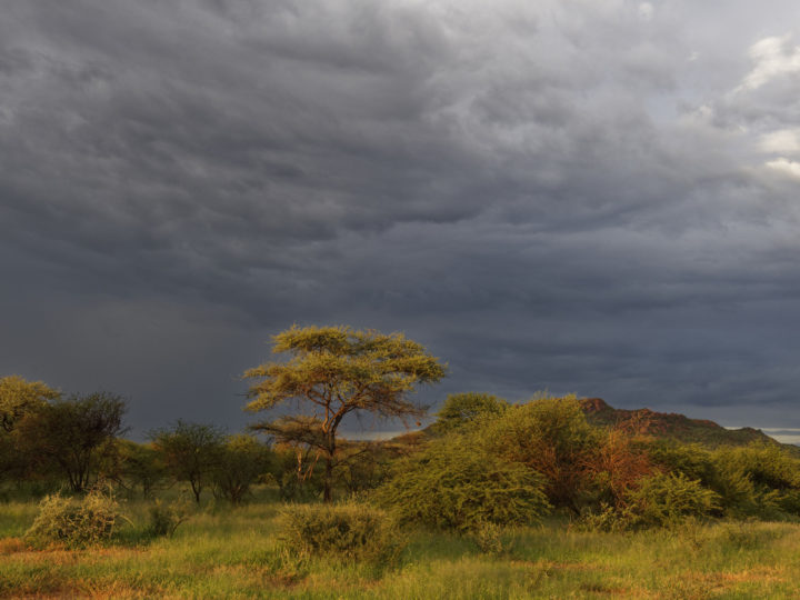 Magique Namibie : photo 1
