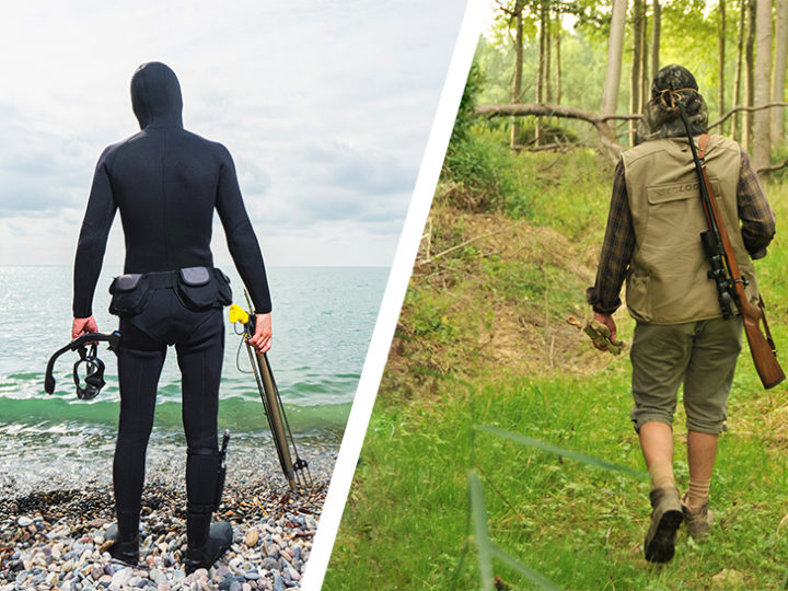 Chasse sous-marine versus chasse à tir : photo 1