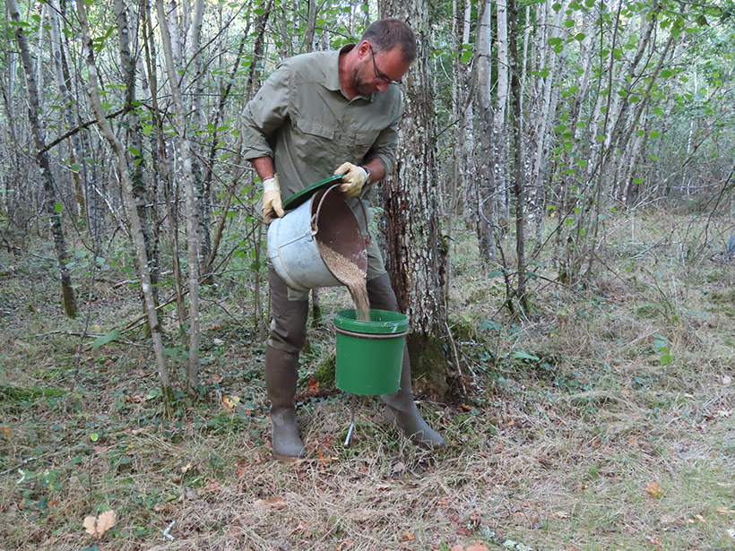 Fidéliser le petit gibier à son territoire : photo 2