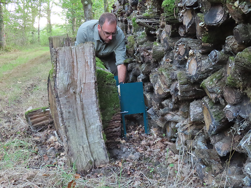 Fidéliser le petit gibier à son territoire : photo 7