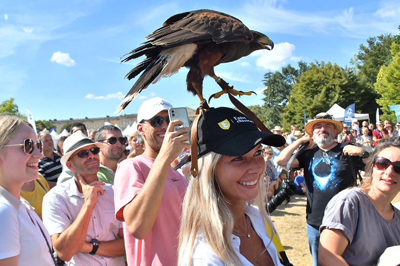 Ruralité en Fête dans les Hauts-de-France : photo 10