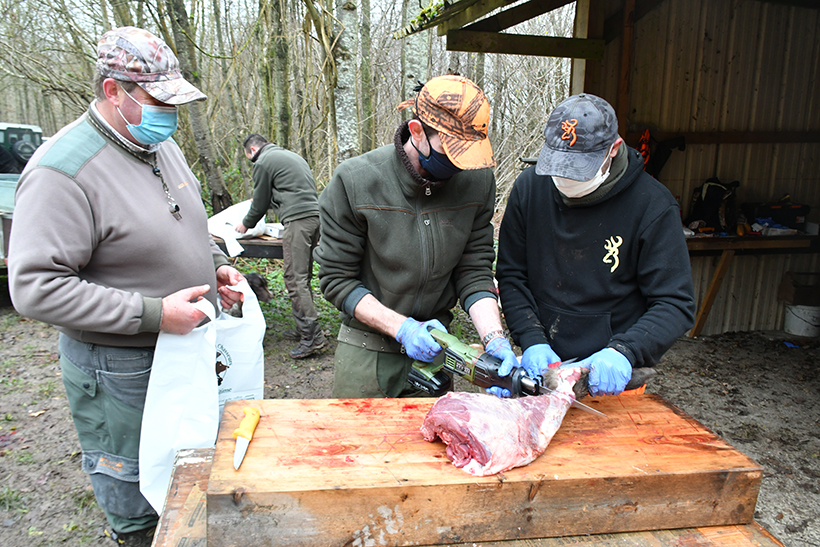 La souffrance animale, une préoccupation humaine : photo 5