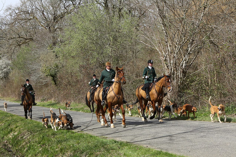 La souffrance animale, une préoccupation humaine : photo 8