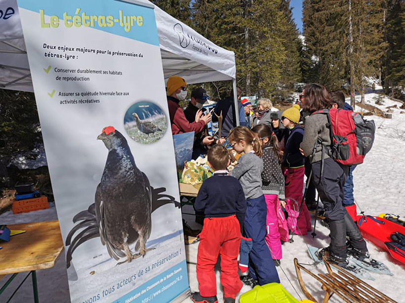 Sports d’hiver, danger pour le tétras lyre : photo 11