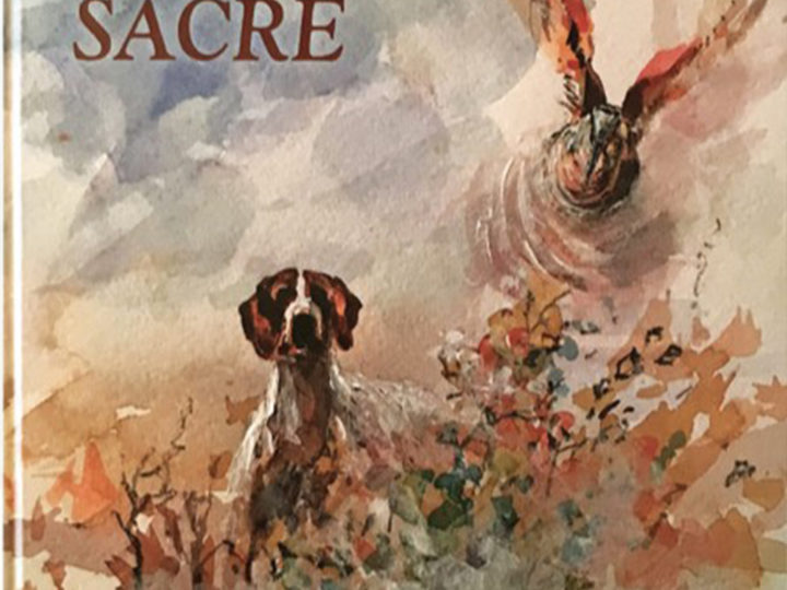 Bécasse, le feu sacré : photo 1