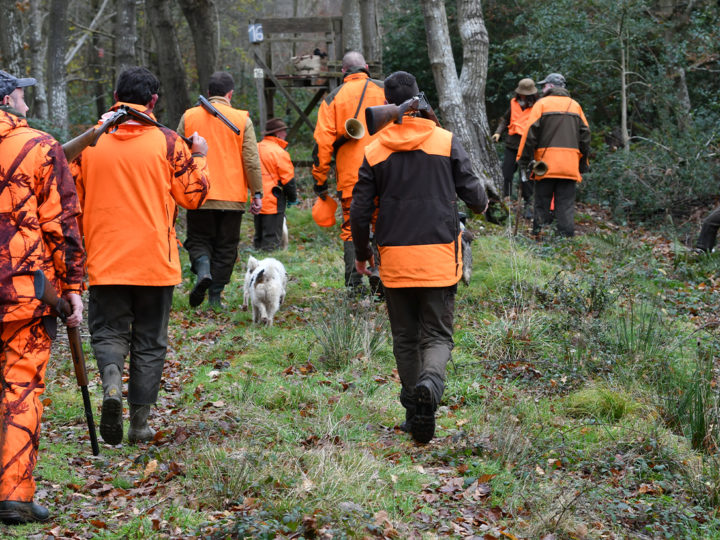 Nous chasserons encore le dimanche : photo 1