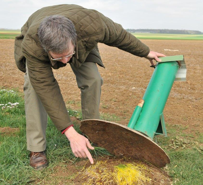 La perdrix et les fourmis : photo 4