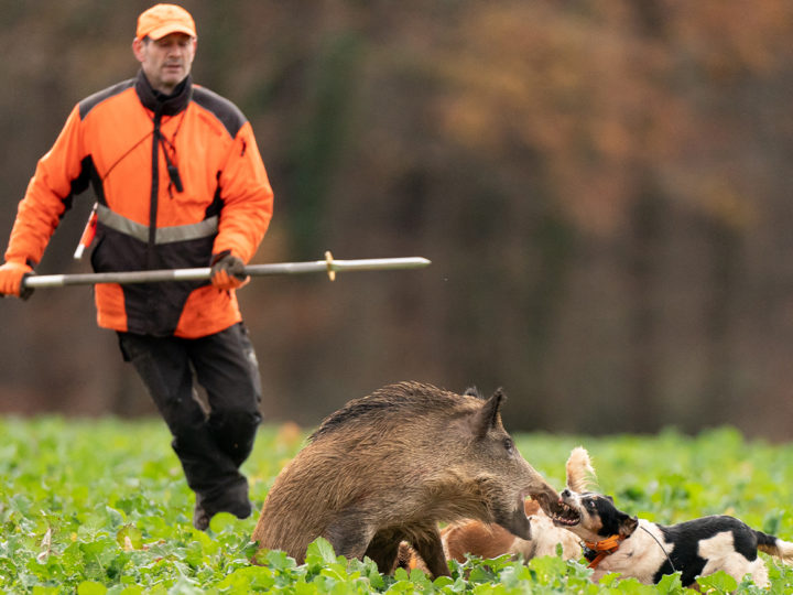 Bien se comporter au ferme : photo 1
