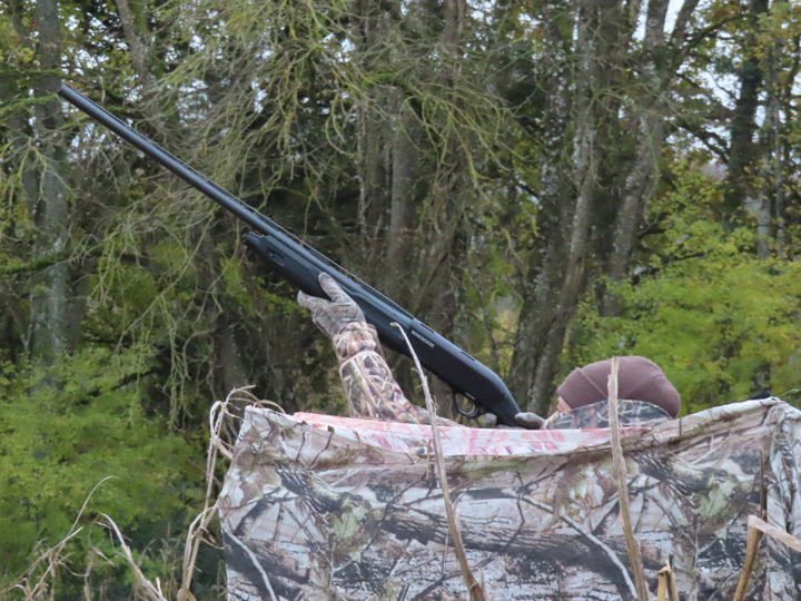 Chasse du pigeon entre Sologne et Pays-Fort : photo 1