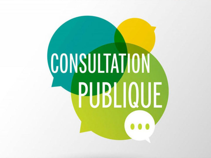 Une consultation des consultations : photo 1