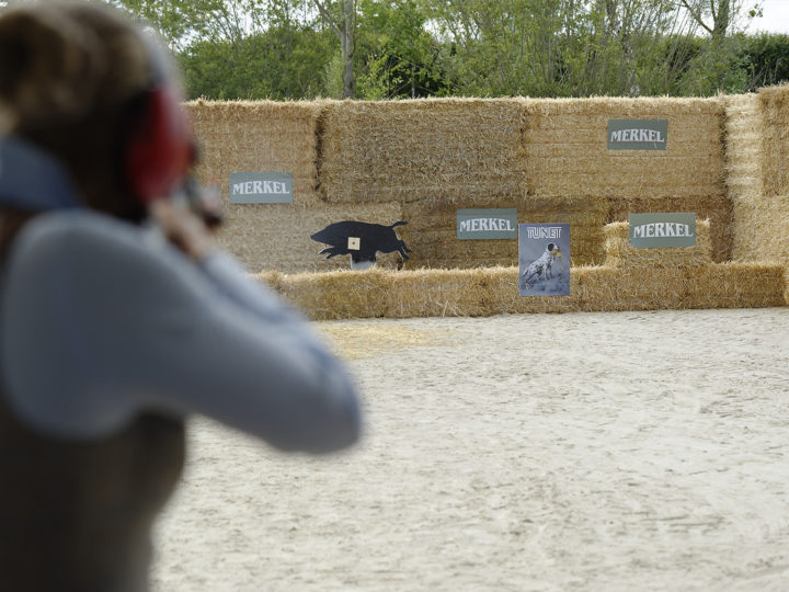 L'indispensable sanglier courant : photo 1