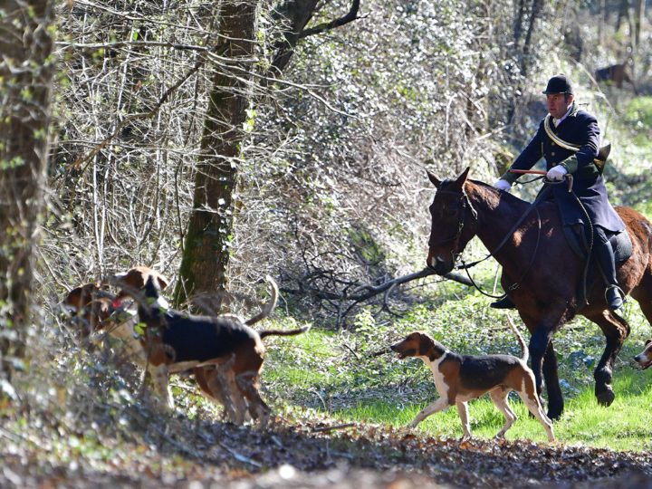Rallye vendéen, un demi-siècle dans la voie de Capreolus : photo 1