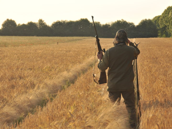 Carabine ou filet : photo 1