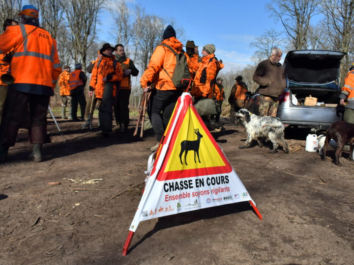 Des accidents de chasse en baisse : photo 1