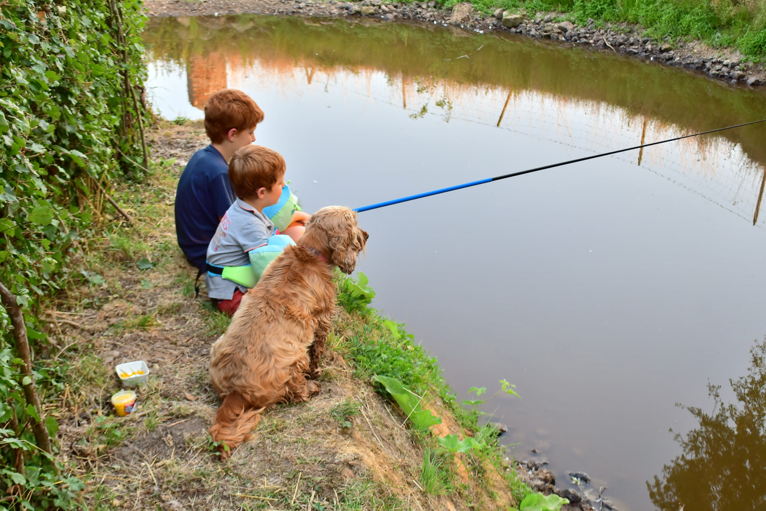 La semaine du chien : photo 3