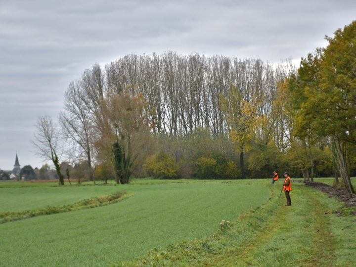 En 2023, les chasseurs sont bien des ruraux : photo 1