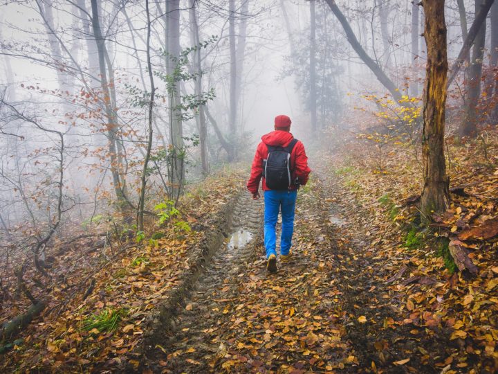 Quelques conseils pour randonner en période de chasse : photo 1